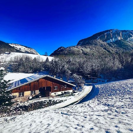 Appartement Dans Maison Familiale Bellevaux Dış mekan fotoğraf
